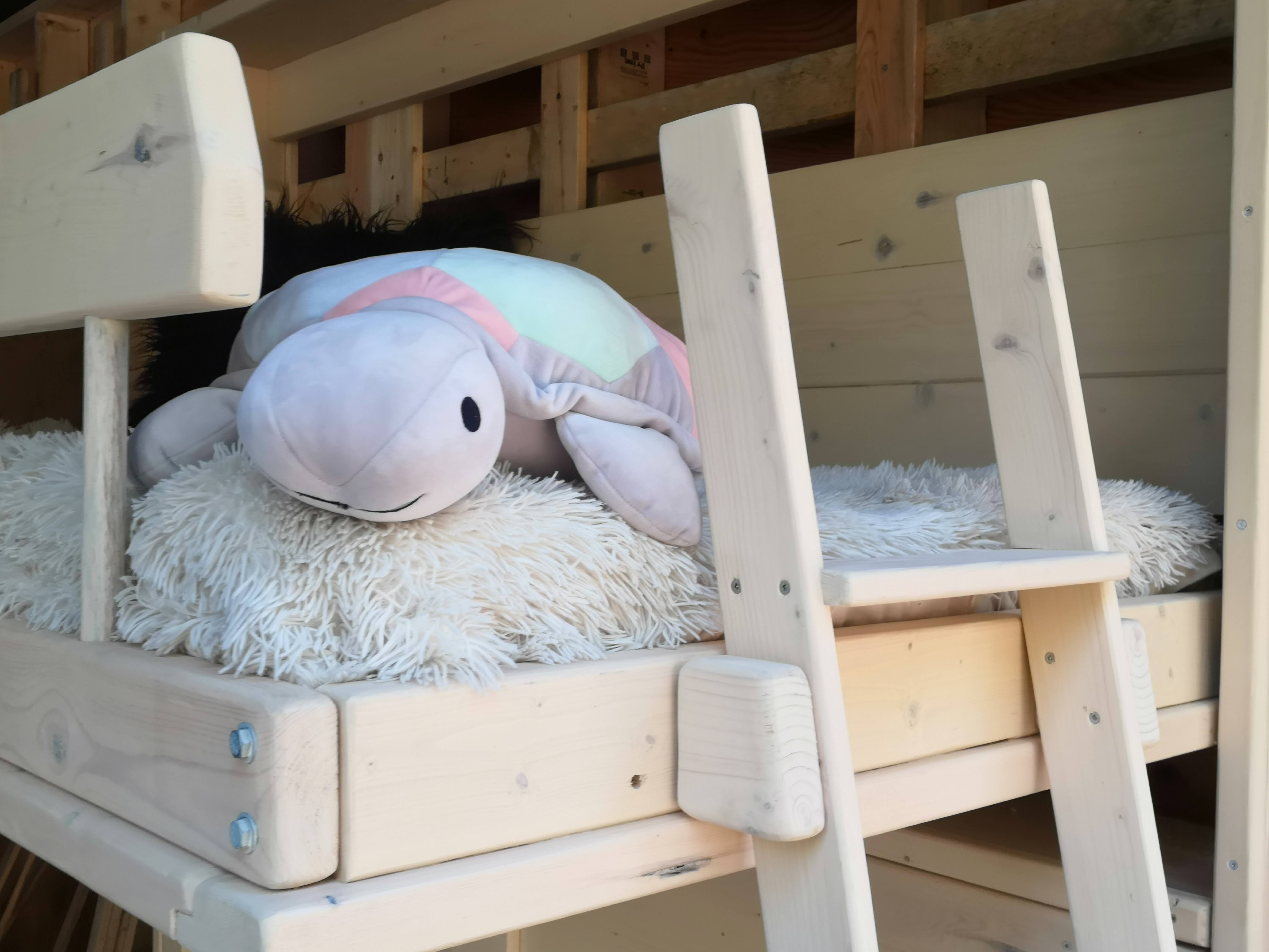 Murphy Bunk Beds