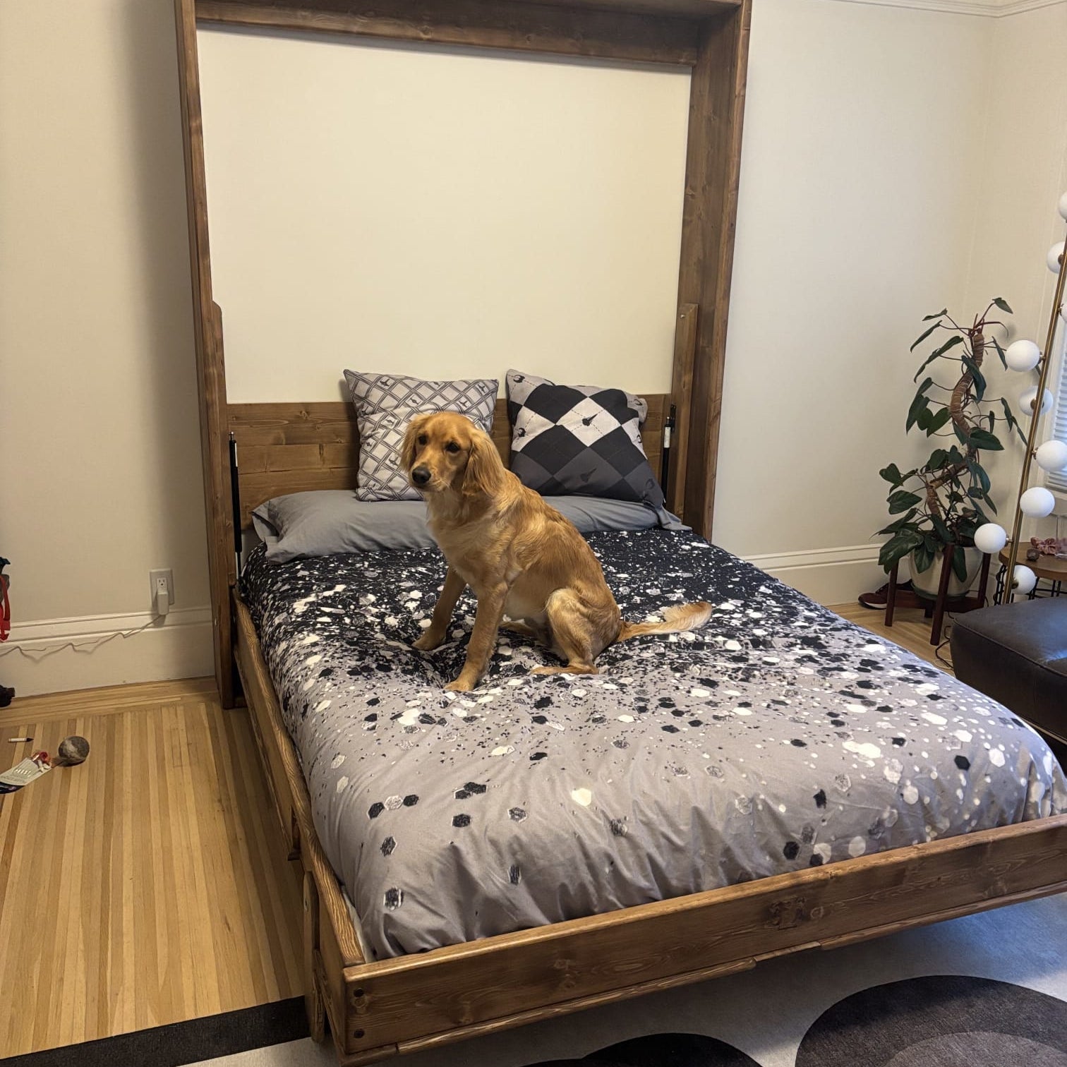 Queen Murphy Bed - Dark Brown Mountains - Kootenay Murphy Beds