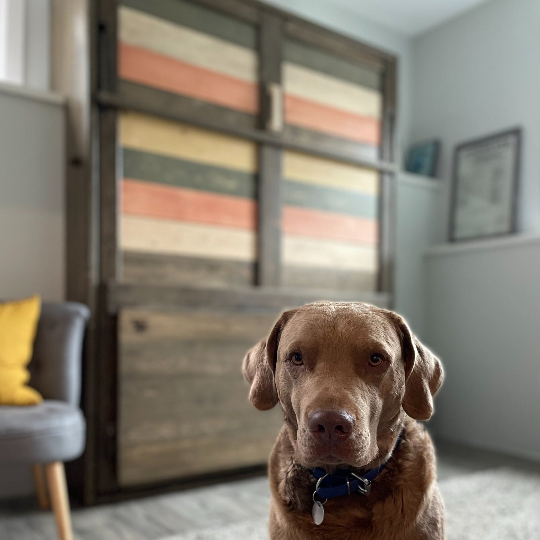 Murphy Bed With Desk - Signature Red
