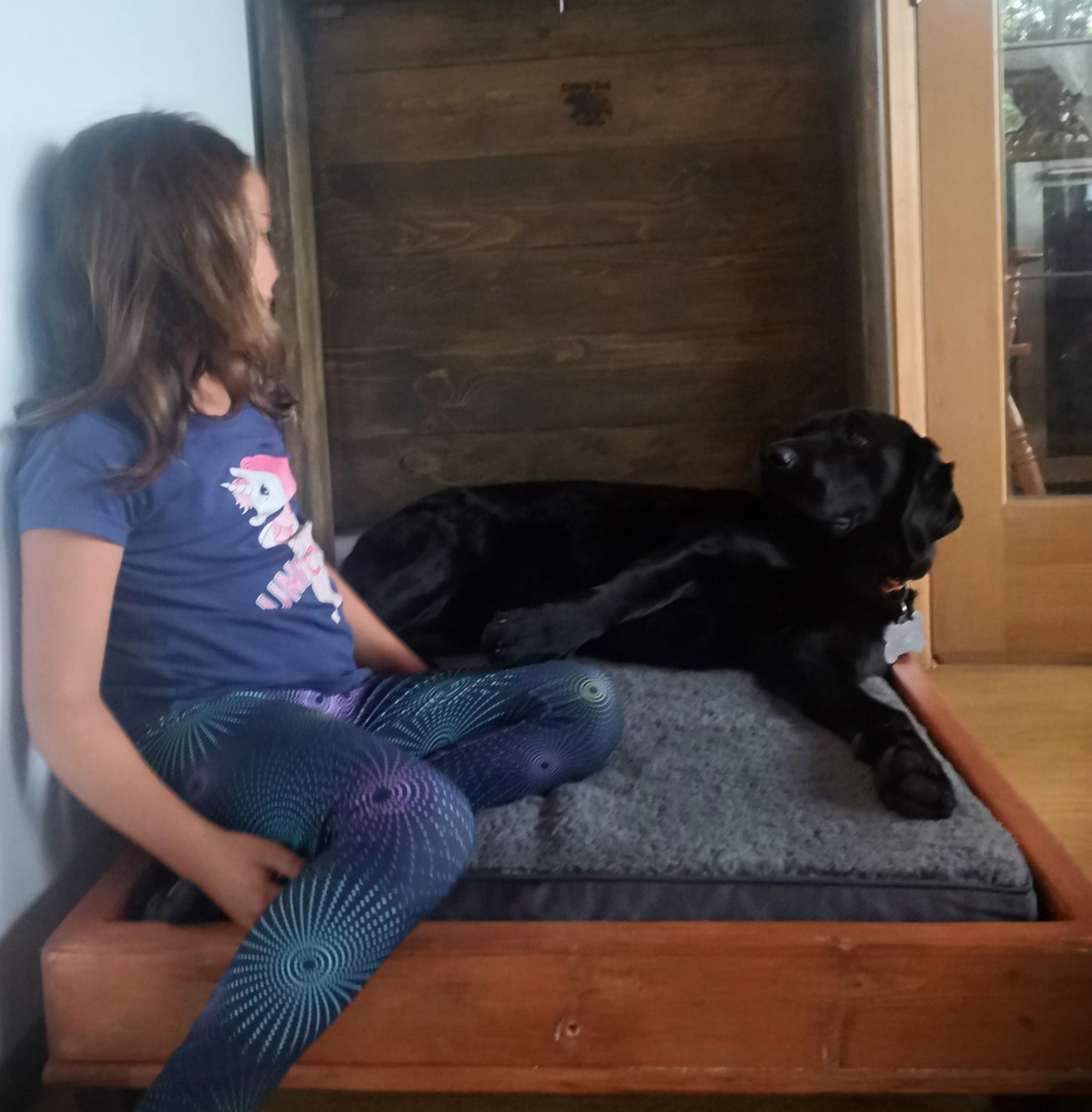 Murphy Dog Bed - Red & Brown