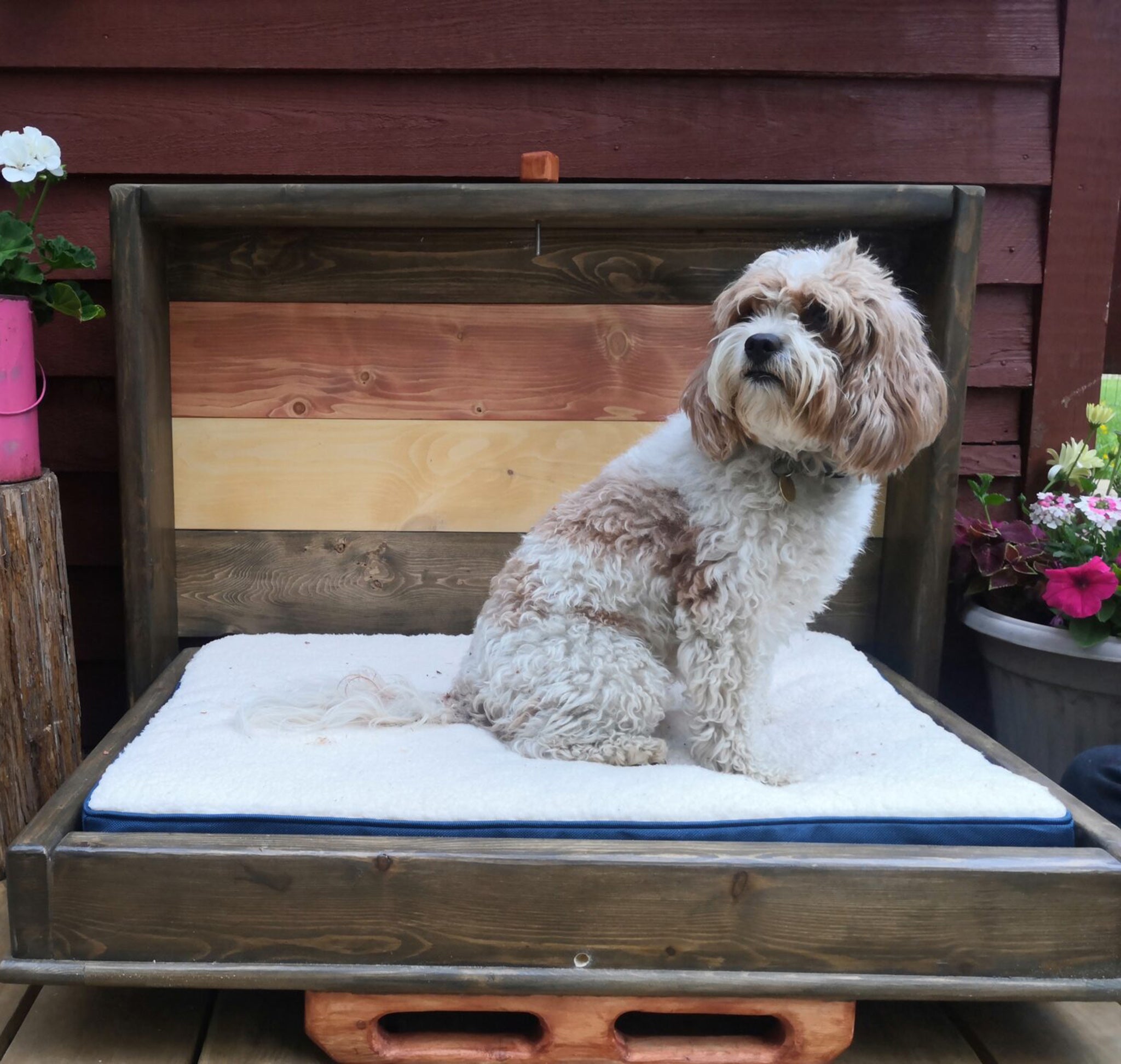 Murphy Dog Bed - Signature Red