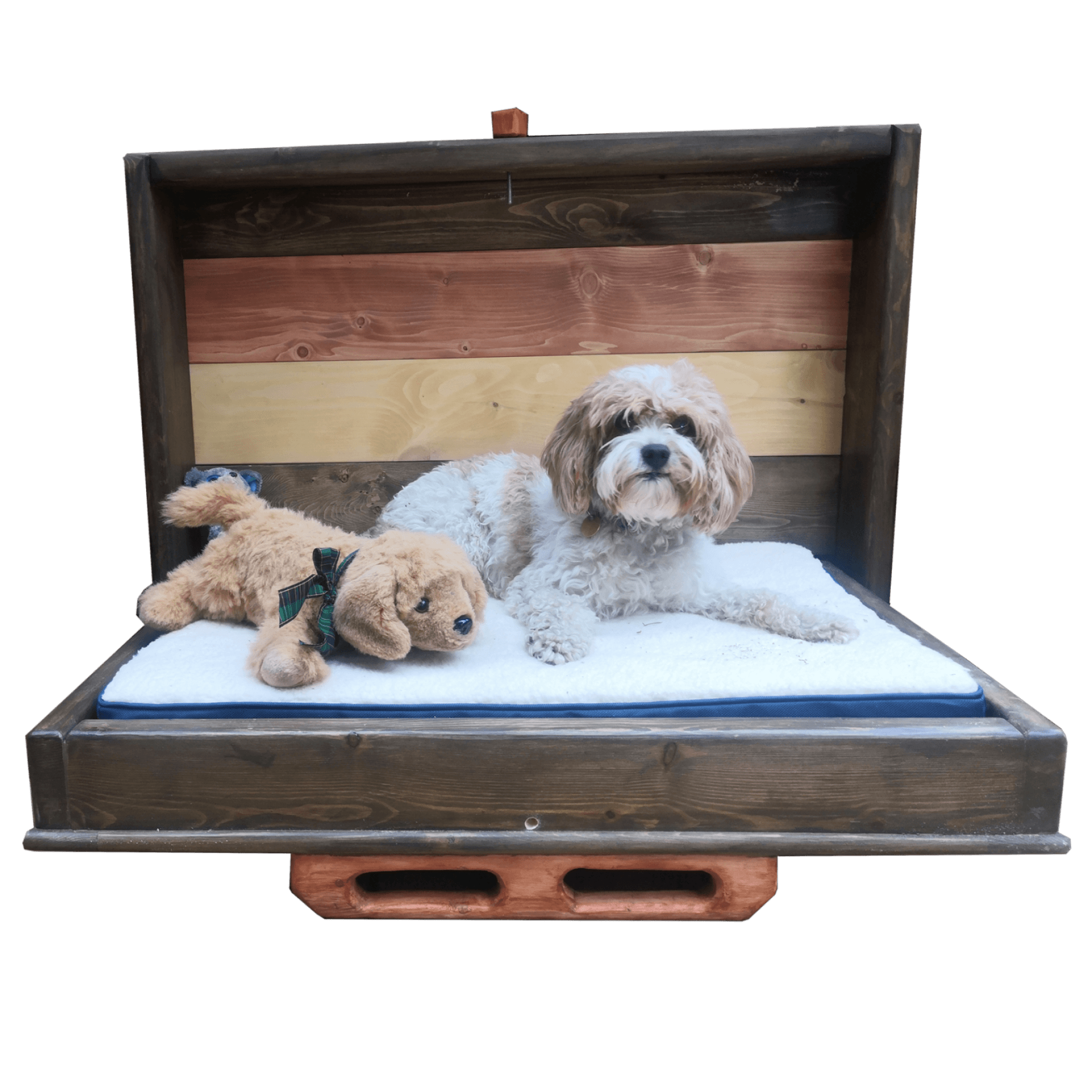 Murphy Dog Bed Signature Red M Dogs up to 50lbs Custom Colour Vertical