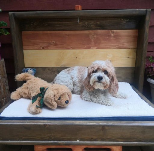 Crafting a Pet-Friendly Home: Space-Saving Solutions for You and Your Furry Friends - Kootenay Murphy Beds