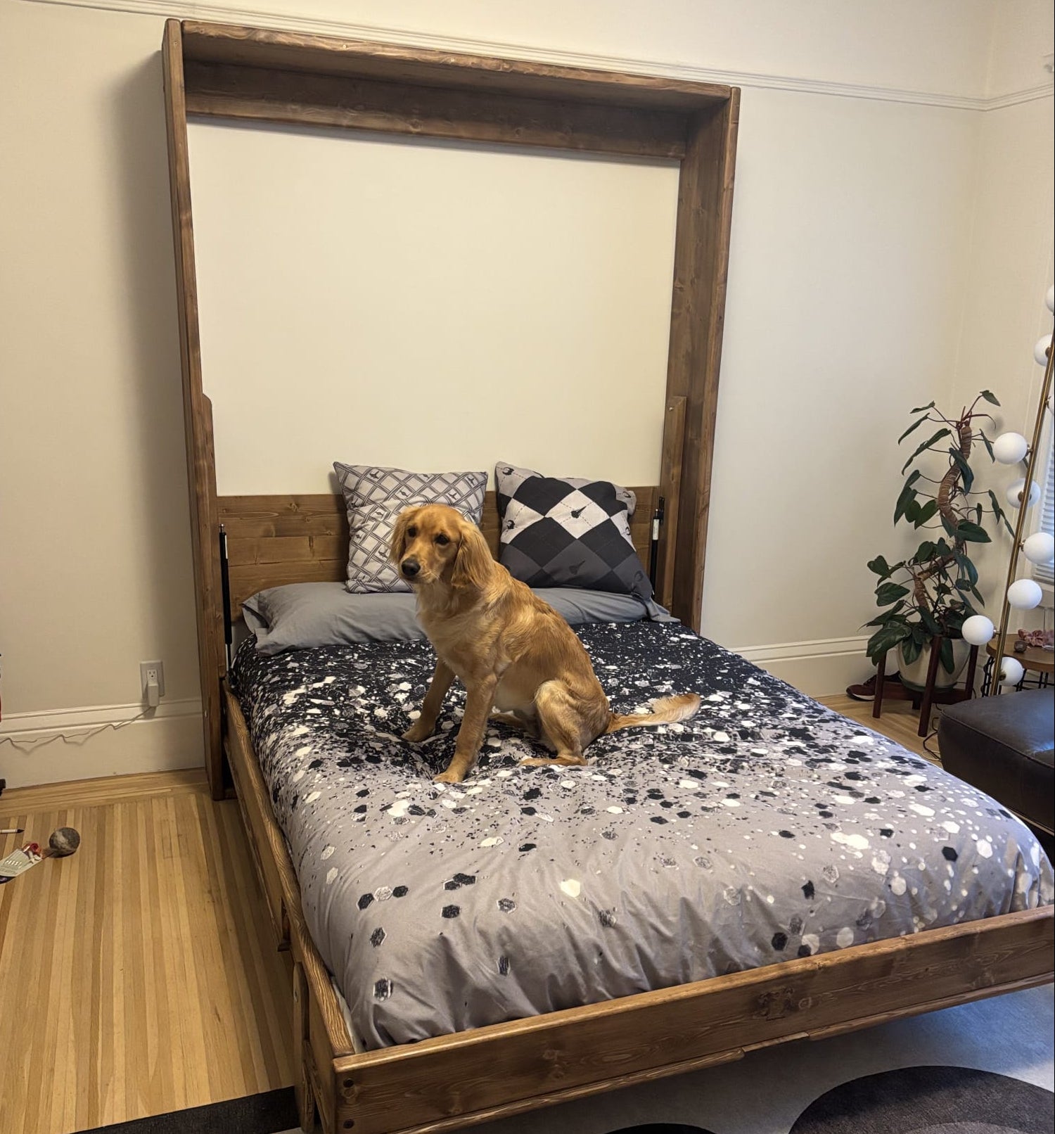 Queen Murphy Bed - Brown Diamond - Kootenay Murphy Beds