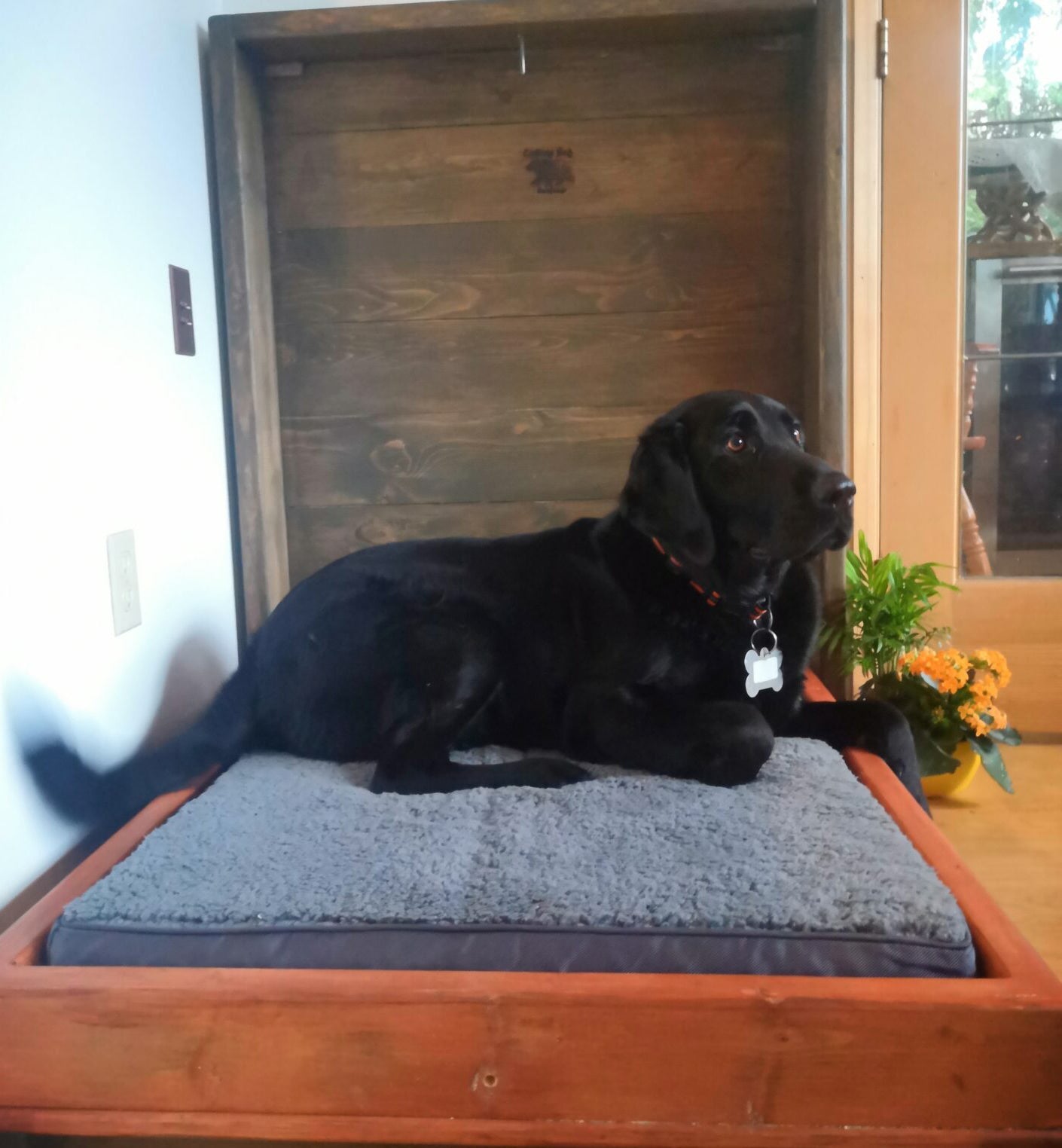 Murphy Dog Bed - Red & Brown