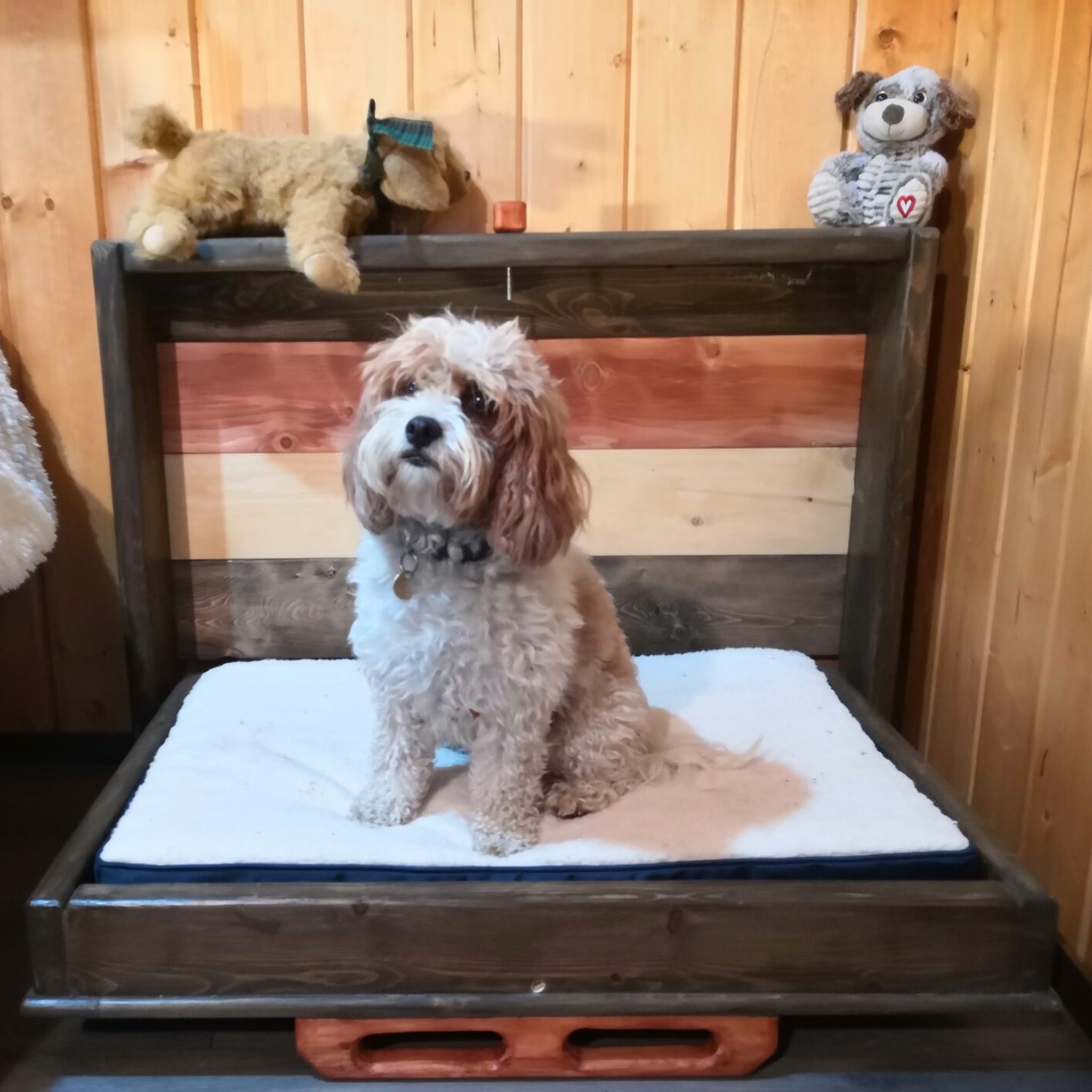 Murphy Dog Bed - Signature Red