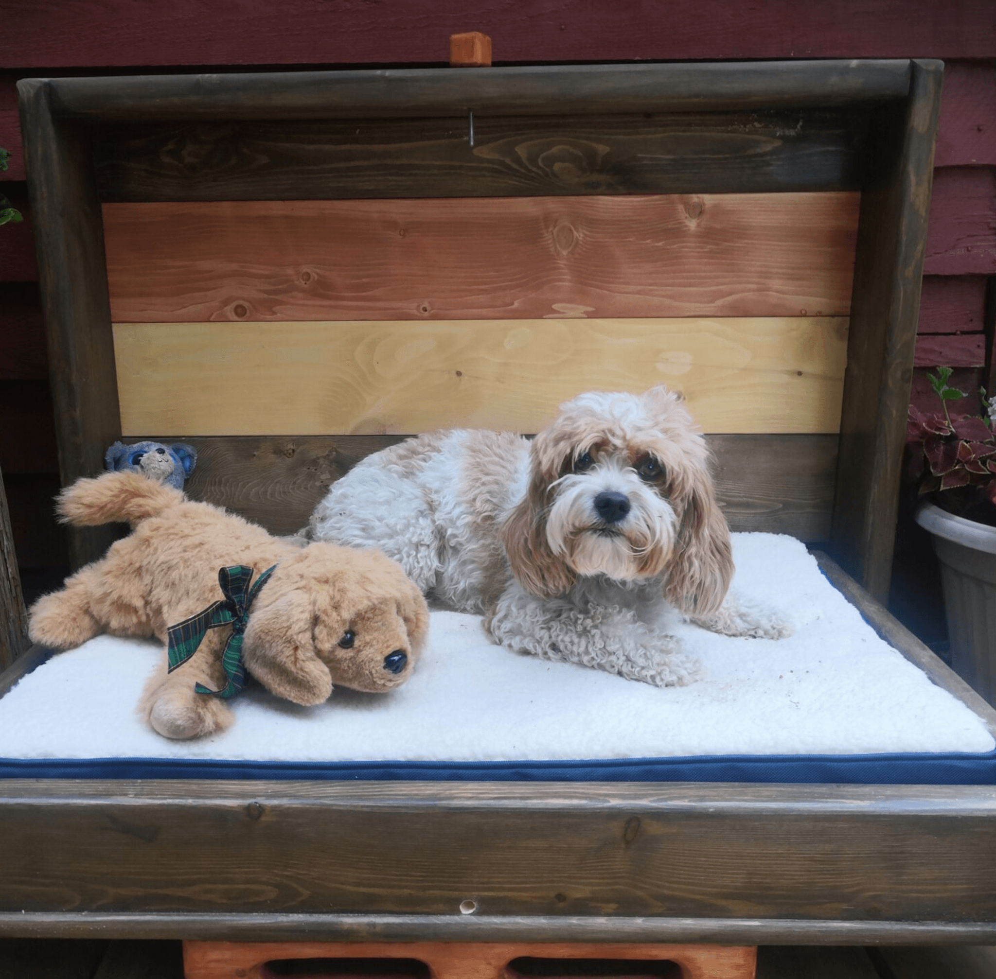 Murphy Dog Bed Signature Red